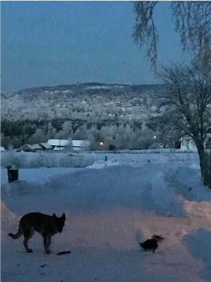 Vila Det Gamla Panget Tällberg Exteriér fotografie
