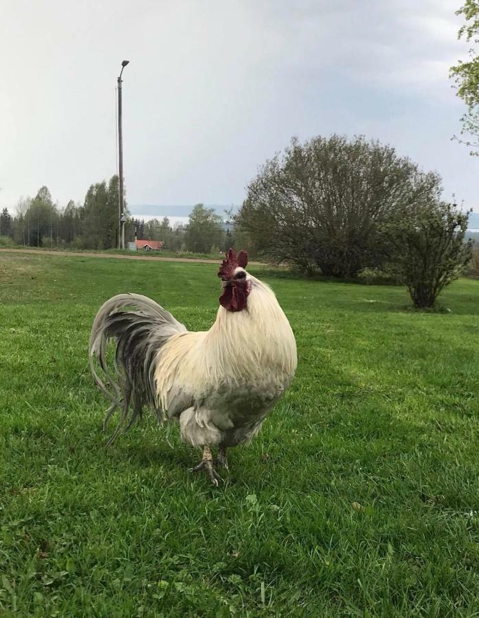 Vila Det Gamla Panget Tällberg Exteriér fotografie